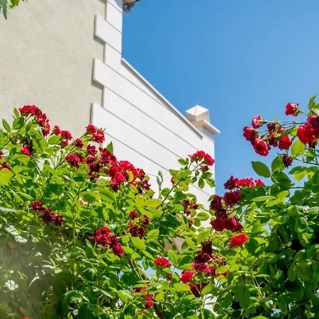 Andjelka-6 By Interhome