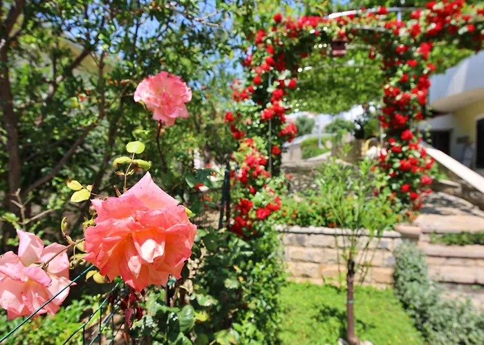 Apartament Andjelka-6 By Interhome