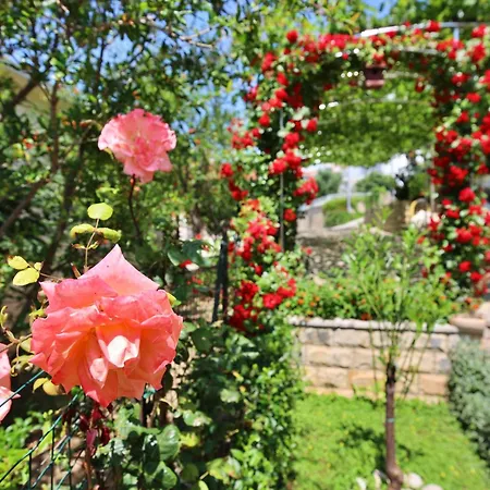 Apartman Andjelka-6 By Interhome